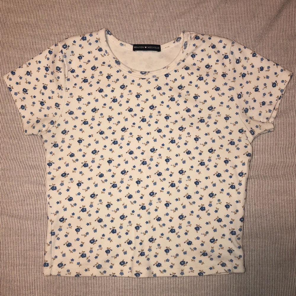 Brandy Melville Ashlyn Top